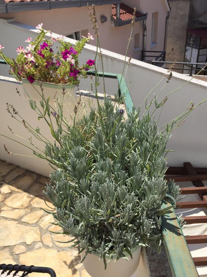 Apartment Elena Rooms Split Bagian luar foto